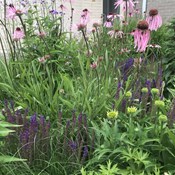 Showtuin Aartselaar overzicht zomer Showtuin rreac04 Publiek Aartselaar overzicht zomer
